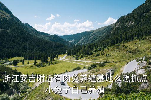 浙江安吉附近有肉兔養(yǎng)殖基地么想抓點小兔子自己養(yǎng)殖