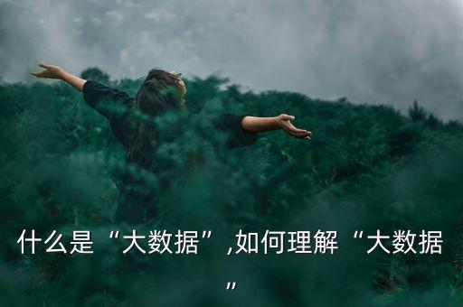 大數(shù)據(jù)指的是什么概念,大數(shù)據(jù)從何而來?