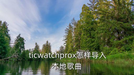 ticwatch數(shù)據(jù)傳手機,TICWATCH是哪個手機的手表