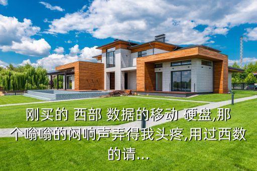 剛買的 西部 數(shù)據(jù)的移動 硬盤,那個嗡嗡的悶響聲弄得我頭疼,用過西數(shù)的請...