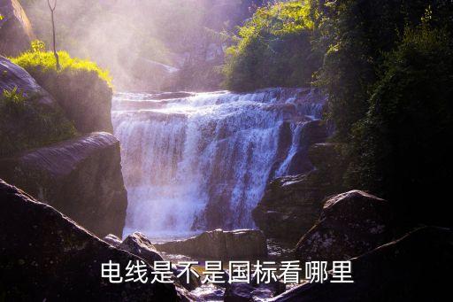電線是不是國標(biāo)看哪里
