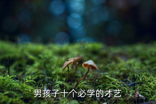 男孩子十個必學(xué)的才藝
