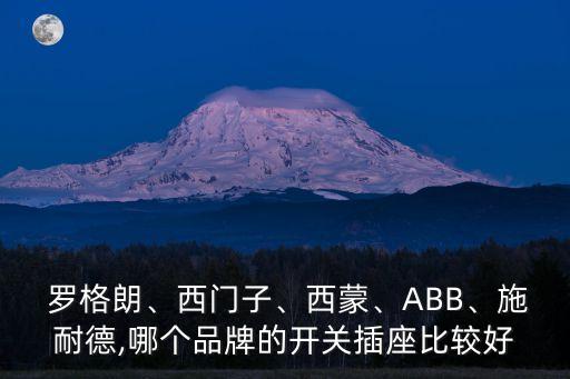 羅格朗自動化設備