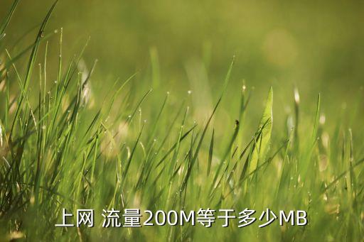 流量數(shù)據(jù)mb
