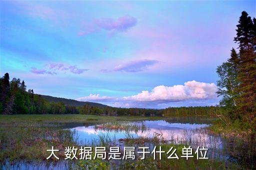 大數(shù)據(jù)管理局干嘛的,社區(qū)矯正管理局是干嘛的
