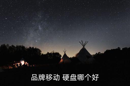 品牌移動 硬盤哪個好