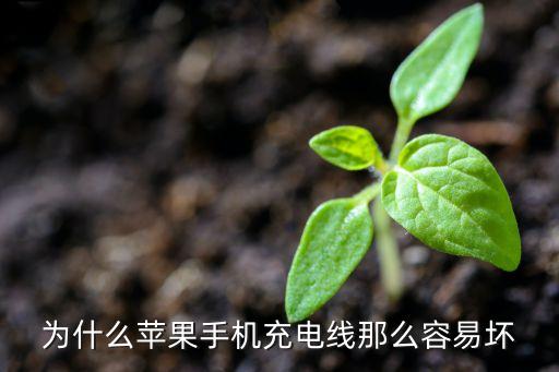 數(shù)據(jù)線內(nèi)容易壞,蘋果數(shù)據(jù)線為什么那么容易壞?