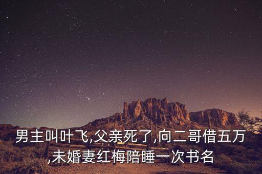 男主叫葉飛,父親死了,向二哥借五萬(wàn),未婚妻紅梅陪睡一次書名