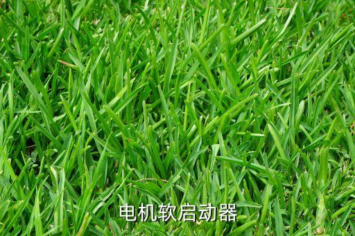 電機(jī)軟啟動(dòng)器