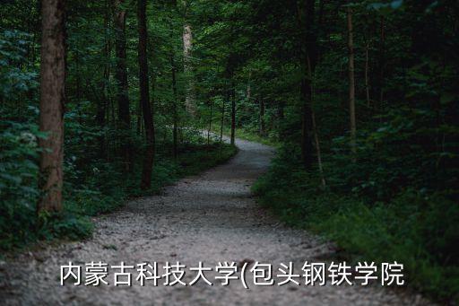 內(nèi)蒙自動化專業(yè)是幾本院校