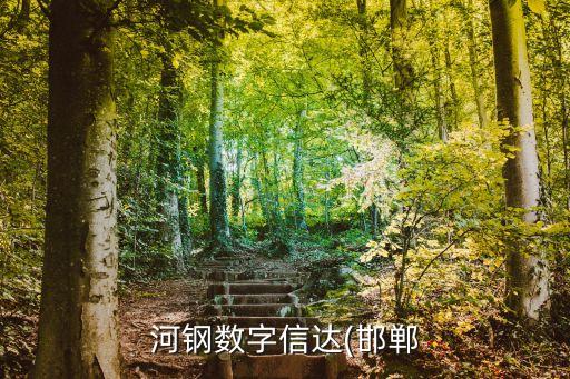 河鋼數(shù)字信達(邯鄲