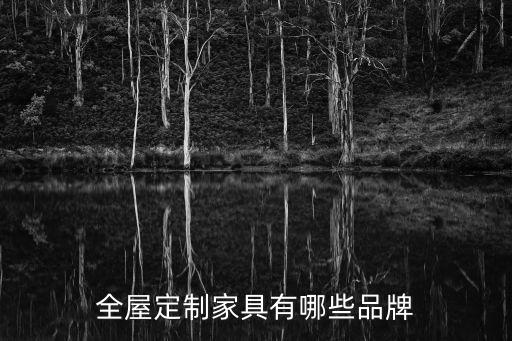全屋定制家具有哪些品牌