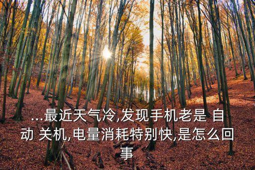 蘋果 冷 自動關(guān)機(jī),蘋果手機(jī)自動關(guān)機(jī)什么原因