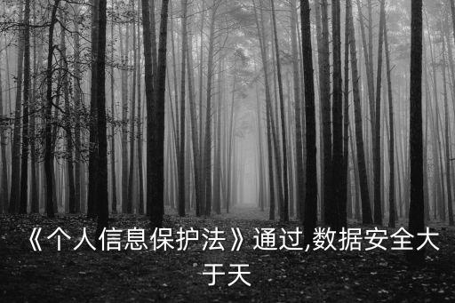 《個人信息保護法》通過,數(shù)據(jù)安全大于天