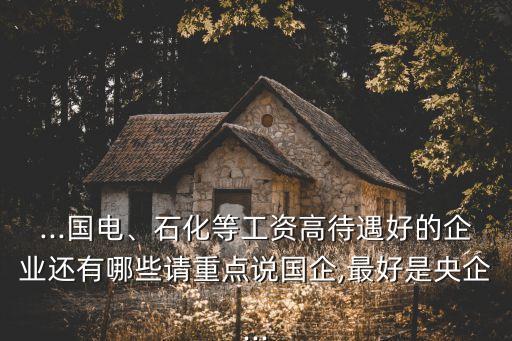 ...國(guó)電、石化等工資高待遇好的企業(yè)還有哪些請(qǐng)重點(diǎn)說國(guó)企,最好是央企...