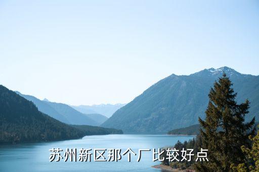 蘇州新區(qū)那個廠比較好點