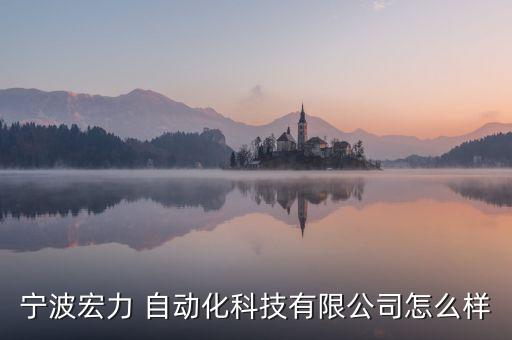 寧波宏力 自動(dòng)化科技有限公司怎么樣