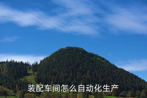 裝配車間怎么自動(dòng)化生產(chǎn)