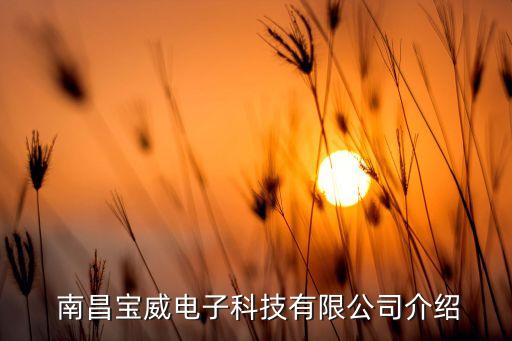  南昌寶威電子科技有限公司介紹