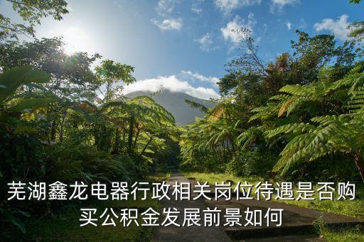 蕪湖鑫龍電器行政相關(guān)崗位待遇是否購(gòu)買公積金發(fā)展前景如何
