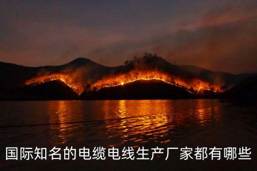 國(guó)際知名的電纜電線生產(chǎn)廠家都有哪些