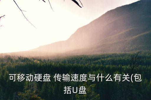 希捷 數(shù)據(jù)傳輸了率600mb,數(shù)據(jù)傳輸率是什么意思