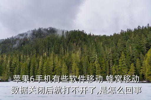 蜂窩數(shù)據(jù)蘋果6到底要不要開
