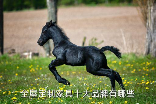重慶椿本自動(dòng)化有限公司,愛夫迪(重慶)自動(dòng)化科技有限公司