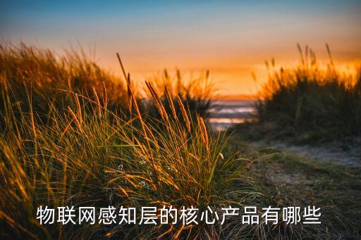 物聯(lián)網(wǎng)核心技術(shù),物聯(lián)網(wǎng)的核心技術(shù)是什么?