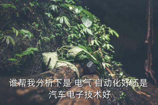 誰幫我分析下是 電氣 自動化好還是 汽車電子技術(shù)好