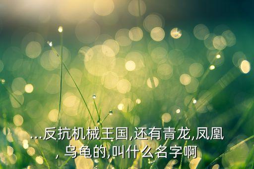 烏龜機(jī)器人動(dòng)畫片叫什么,烏龜喜歡看什么動(dòng)畫片