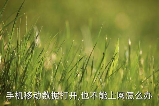 移動數(shù)據(jù)打開就關(guān)閉不了,為何手機(jī)移動數(shù)據(jù)關(guān)不了?