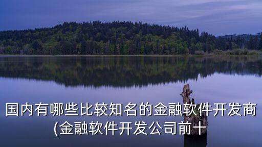 大數(shù)據(jù)金融平臺(tái)排名,互聯(lián)網(wǎng)金融平臺(tái)排名出爐人人貸位列前茅