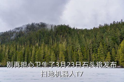 石頭掃地機器人對話,石頭t7掃地機器人說明書-怎么樣?