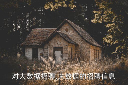 騰訊對大數(shù)據(jù)招聘,大數(shù)據(jù)的招聘信息