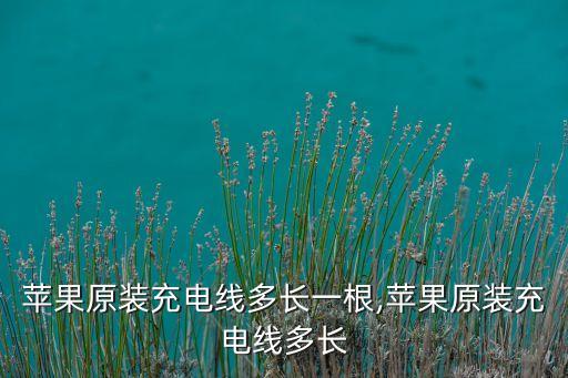 蘋果原裝充電線多長一根,蘋果原裝充電線多長