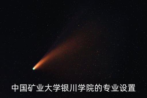 中國礦業(yè)大學銀川學院的專業(yè)設(shè)置