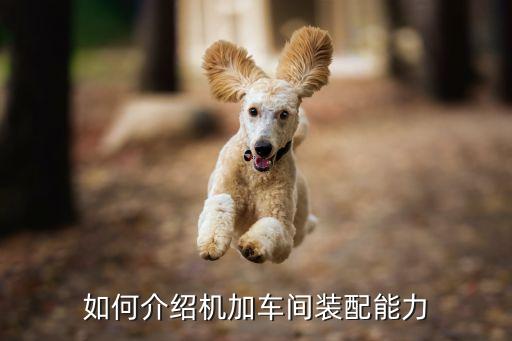 如何介紹機(jī)加車間裝配能力