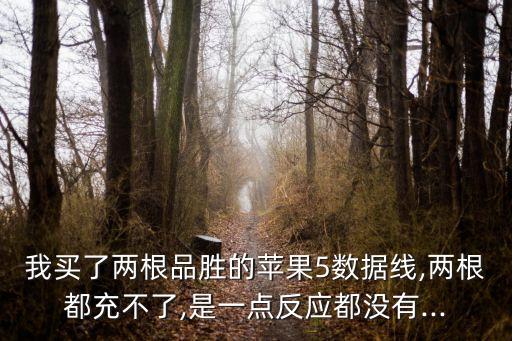 品勝數(shù)據(jù)線(xiàn)怎么修復(fù),數(shù)據(jù)線(xiàn)不能充電怎么辦?