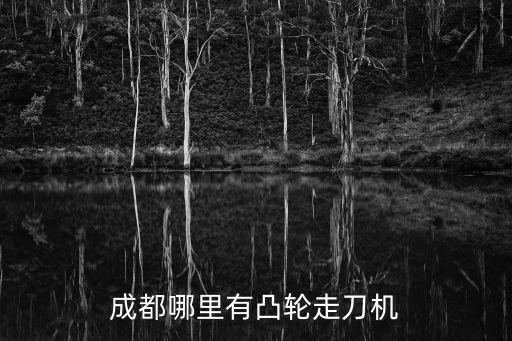 四川自動化設(shè)備供貨報價,四川欣睿捷電子商務(wù)有限公司