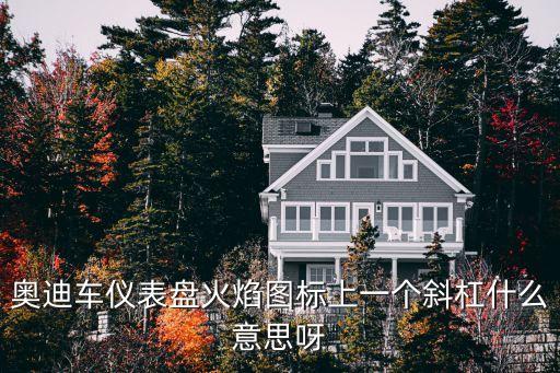 奧迪車儀表盤火焰圖標上一個斜杠什么意思呀