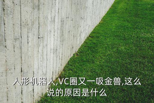 人形機(jī)器人,VC圈又一吸金獸,這么說的原因是什么