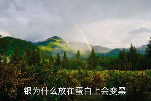 上變,稀硫酸弄到手上變黑?放進(jìn)蛋白酶怎么做?