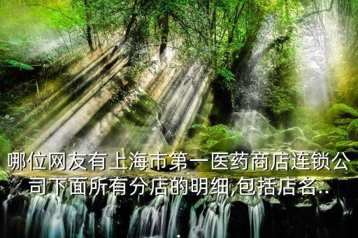 哪位網(wǎng)友有上海市第一醫(yī)藥商店連鎖公司下面所有分店的明細(xì),包括店名...