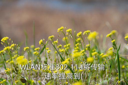 WLAN標(biāo)準(zhǔn)802.11a將傳輸 速率提高到(