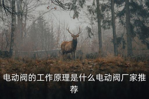 電動(dòng)閥的工作原理是什么電動(dòng)閥廠家推薦
