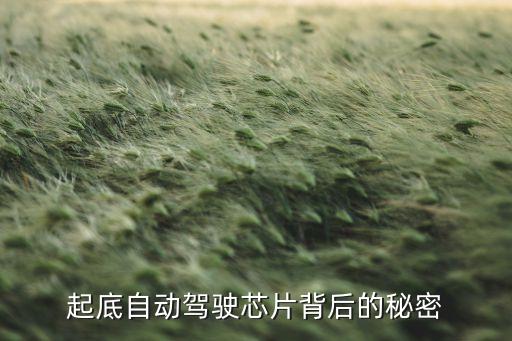 起底自動(dòng)駕駛芯片背后的秘密