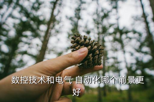 自動化與數(shù)控專業(yè)怎么樣,數(shù)控自動化專業(yè)大學(xué)排名