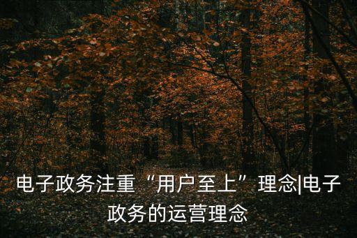 電子政務(wù)注重“用戶至上”理念|電子政務(wù)的運(yùn)營(yíng)理念