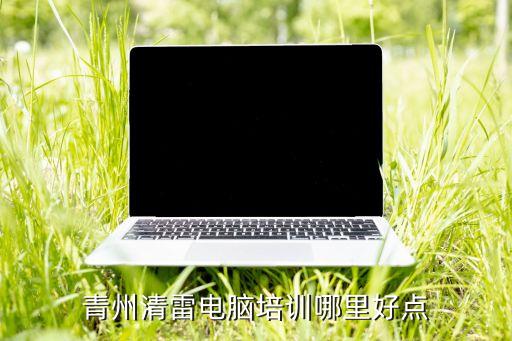 青州清雷電腦培訓(xùn)哪里好點